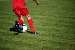 ac米兰球队官网-中国足球对手研究报告结构设计,中国足球对象