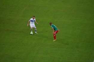 ac米兰中文官网-中国足球对抗频次与伤病风险相关性,足球 对抗